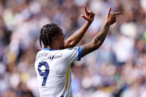 برايتون يرفض عرض نيوكاسل لضم جواو بيدرو